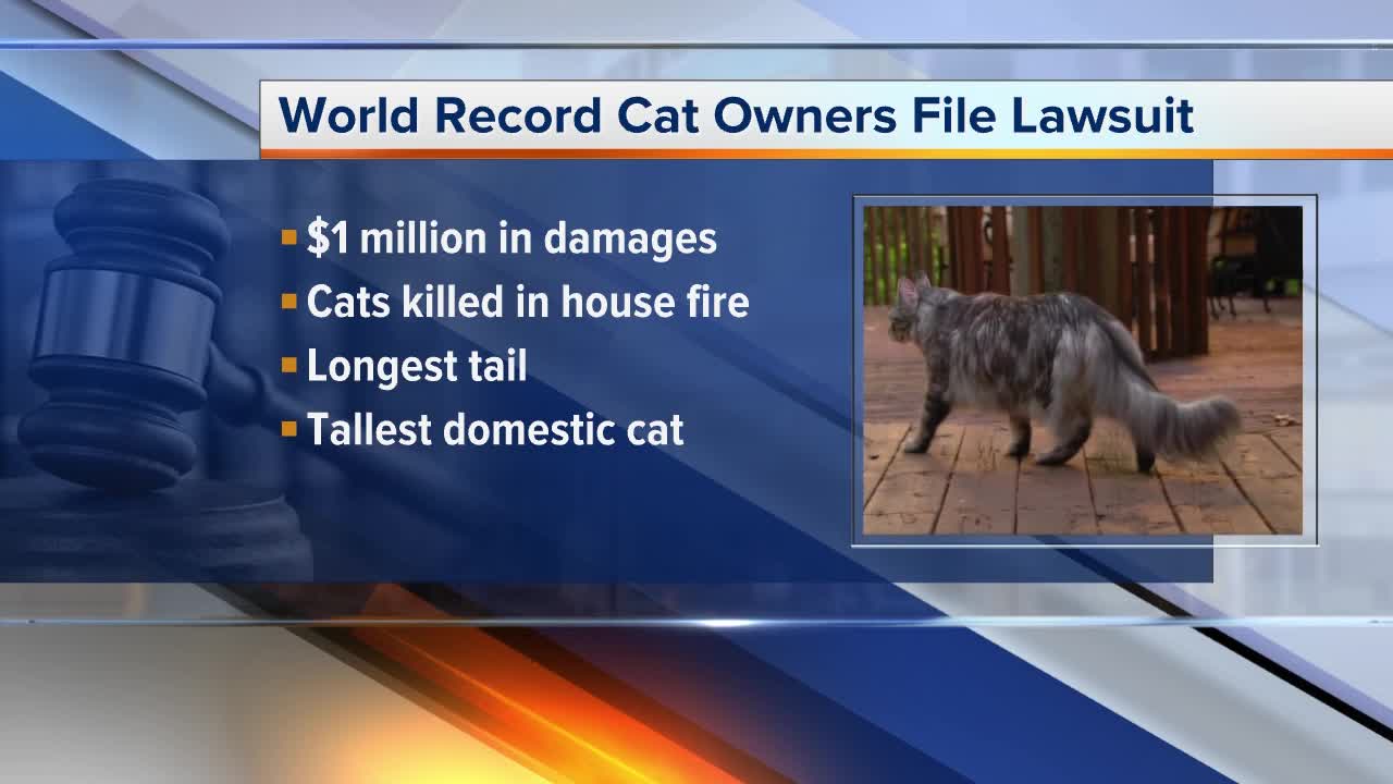 Farmington Hills couple files lawsuit after record-holding cats killed in fire