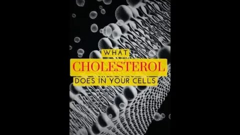 Cholesterol In The Cell