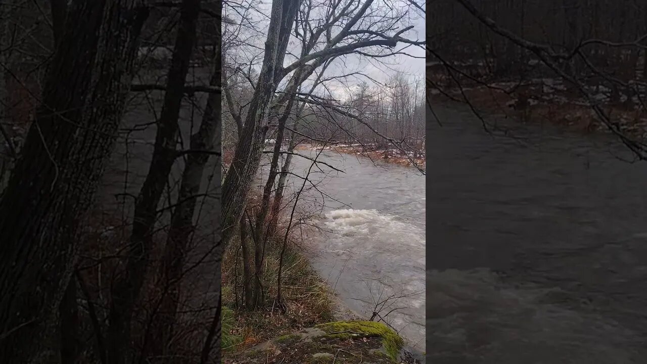 January Flood. Crazy Weather 🌡️
