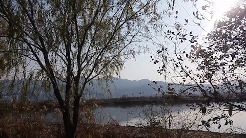 A lake located in the forest.