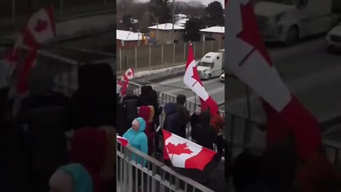 Trucker Convoy Drone Footage - Mississauga