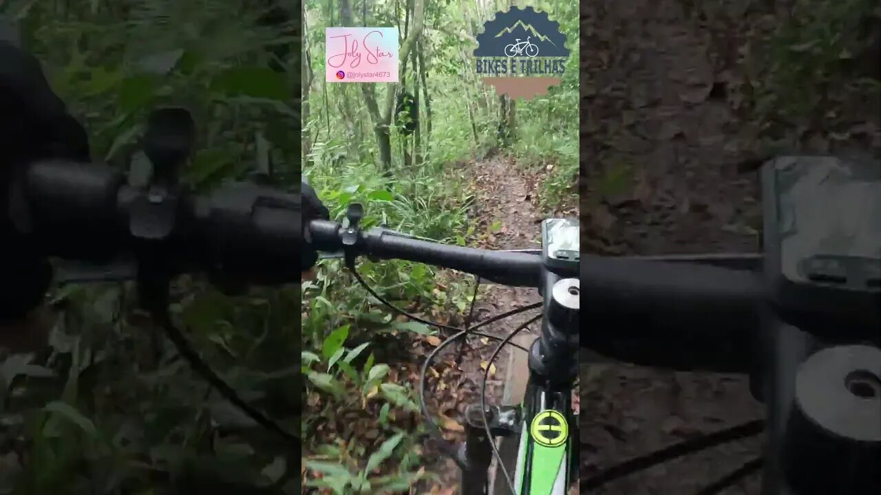 Single track da mata - 2º Goiana XCM - BIKES E TRILHAS #shorts #bike #xcm