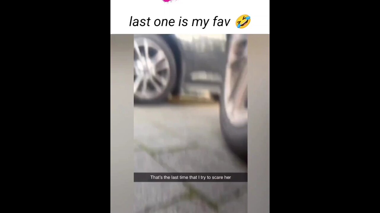 try to not laugh 😂 #funny #videos @entertainment_box12 #viral #rumble