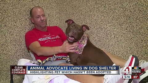 Local animal advocate moves into shelter dog's room