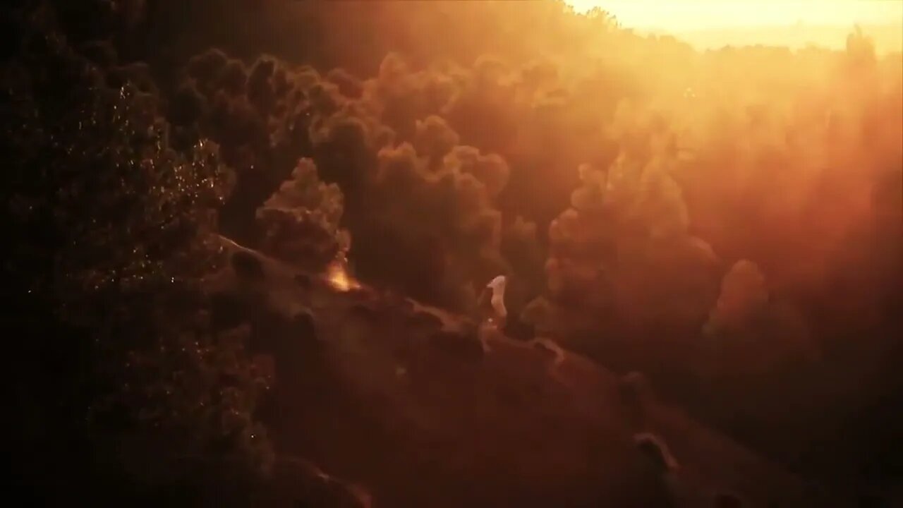 Gallaher's Green - Where Do I Begin?