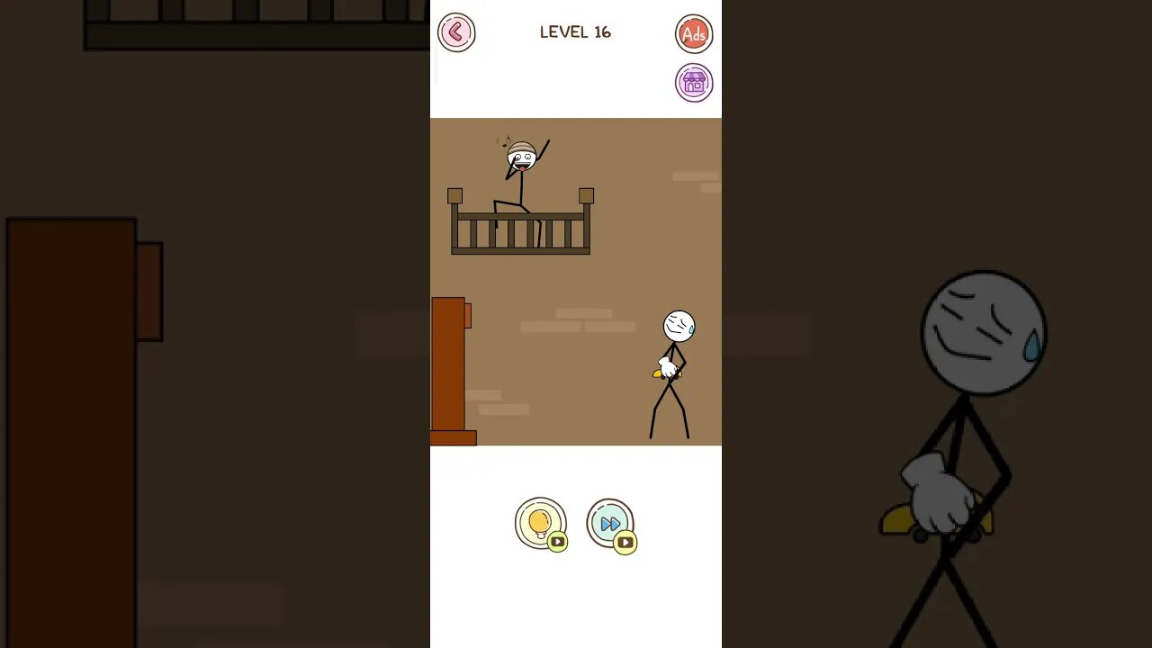 Thief Puzzle Level 16