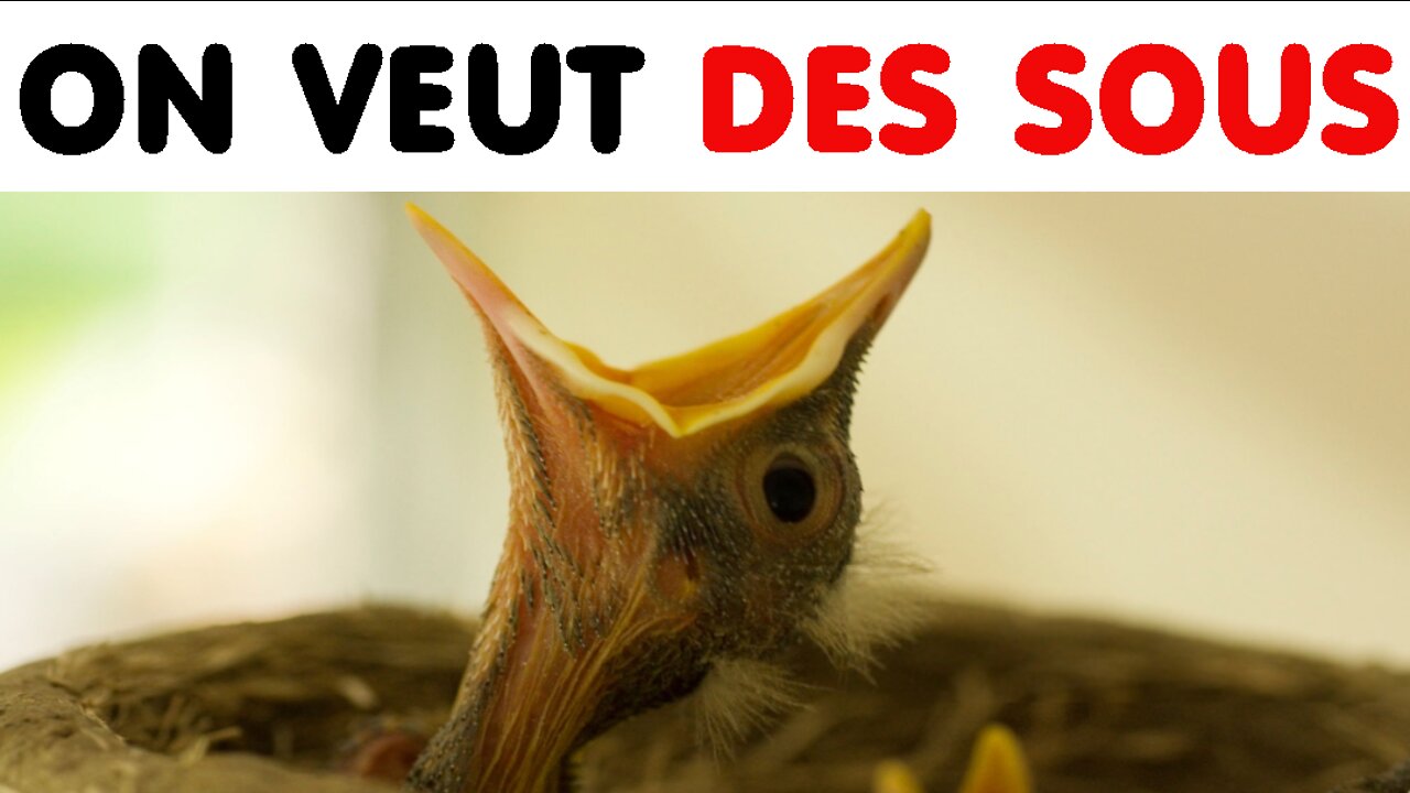 On veut des sous ! (21 nov. 2019)