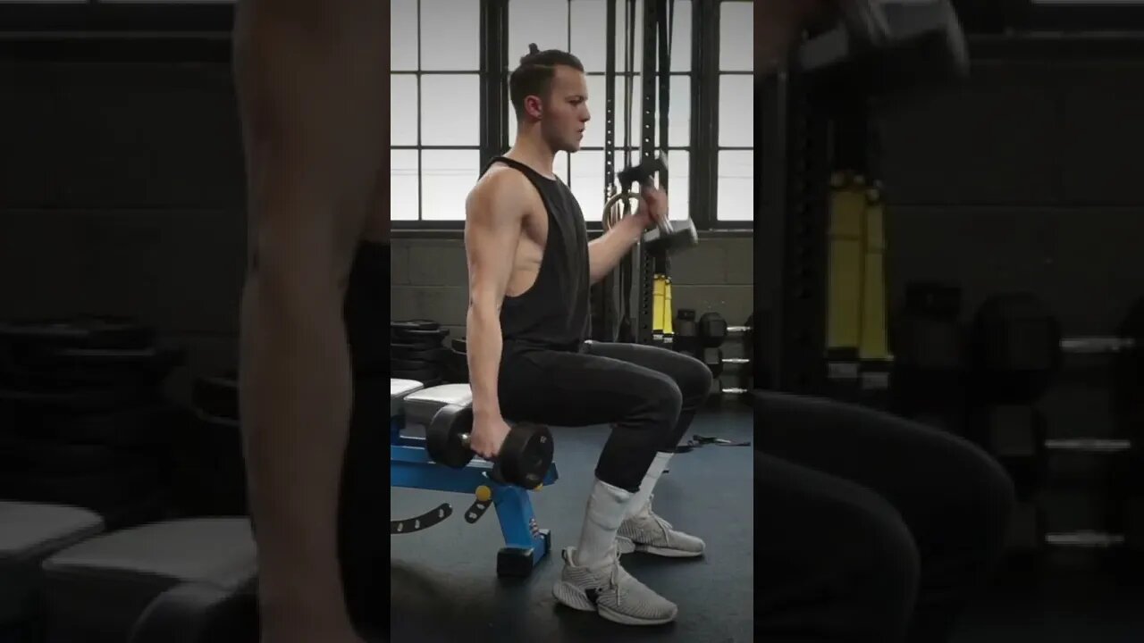 Dumbbell Hammer Bicep Curl Exercise