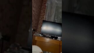 Why you should never scare a dog!