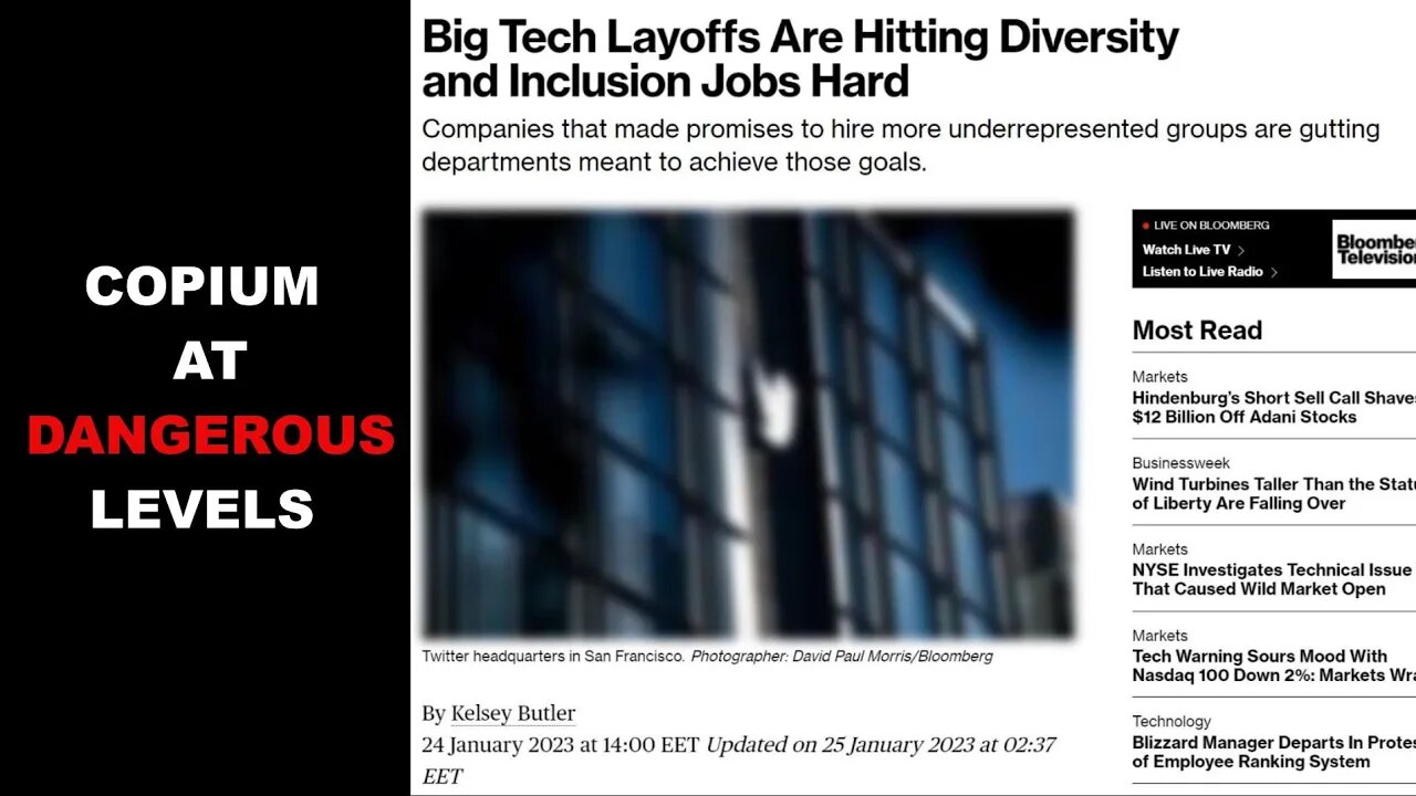 Diversity Officers Lay Offs In Tech Industry