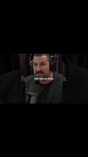 The eyes are brain. #andrewhuberman #interesting #development #eyes