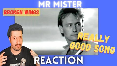 REALLY GOOD SONG - Mr. Mister - Broken Wings Reaction