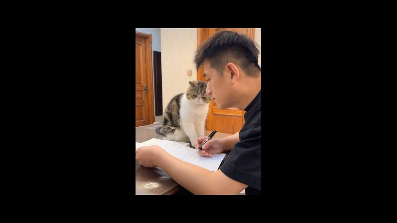 Funny cat🤣😅😁😄