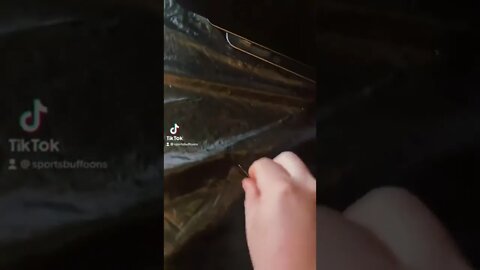 Like and follow us for more content! #podcast #trending #fyp