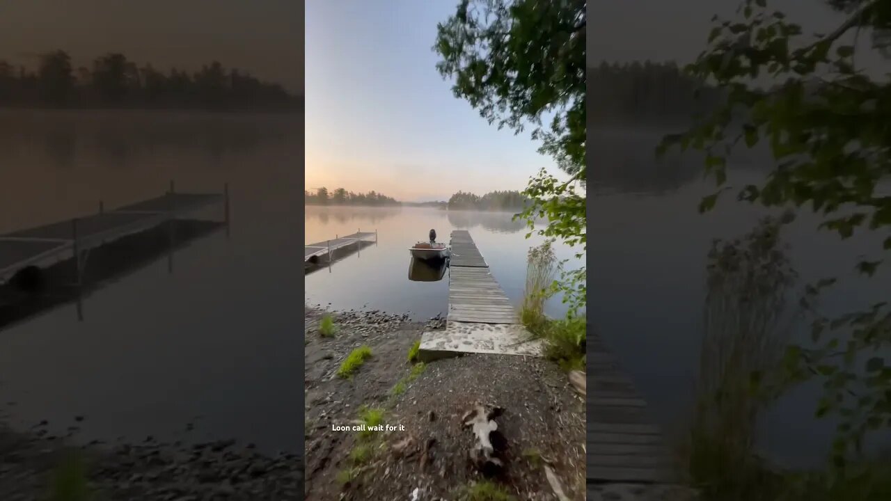 Bird watching l#misty morning #loon lake #lake at dawn #birdsounds #bird watching # Maine birds