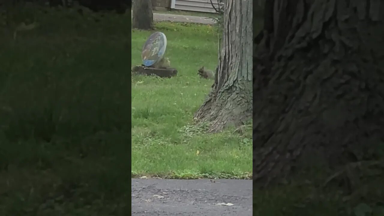 bro went out of render distance #shorts