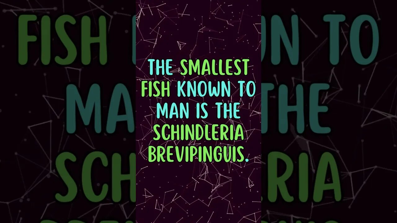 🐟Discover Fascinating Nature Facts👀#shorts #shortsfact #naturefacts #marinelife #smallest #fishfacts