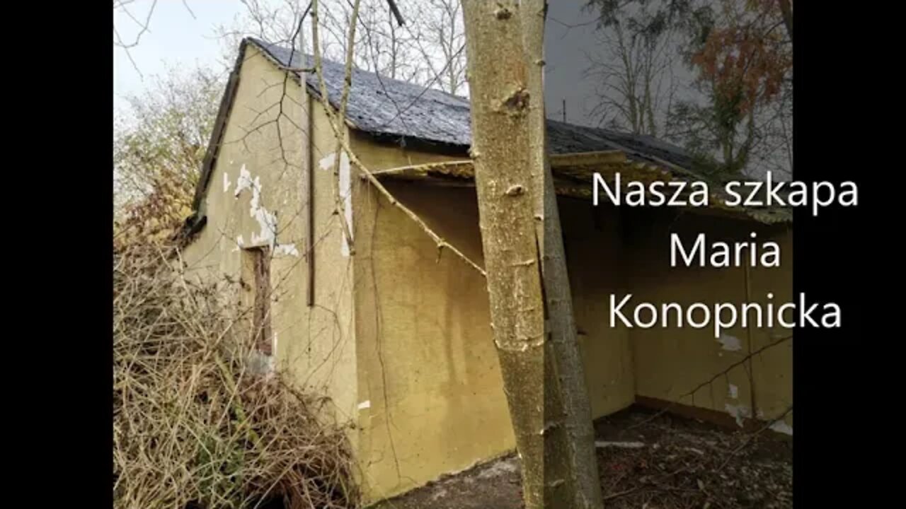 Nasza szkapa - Maria Konopnicka pisane czułym sercem