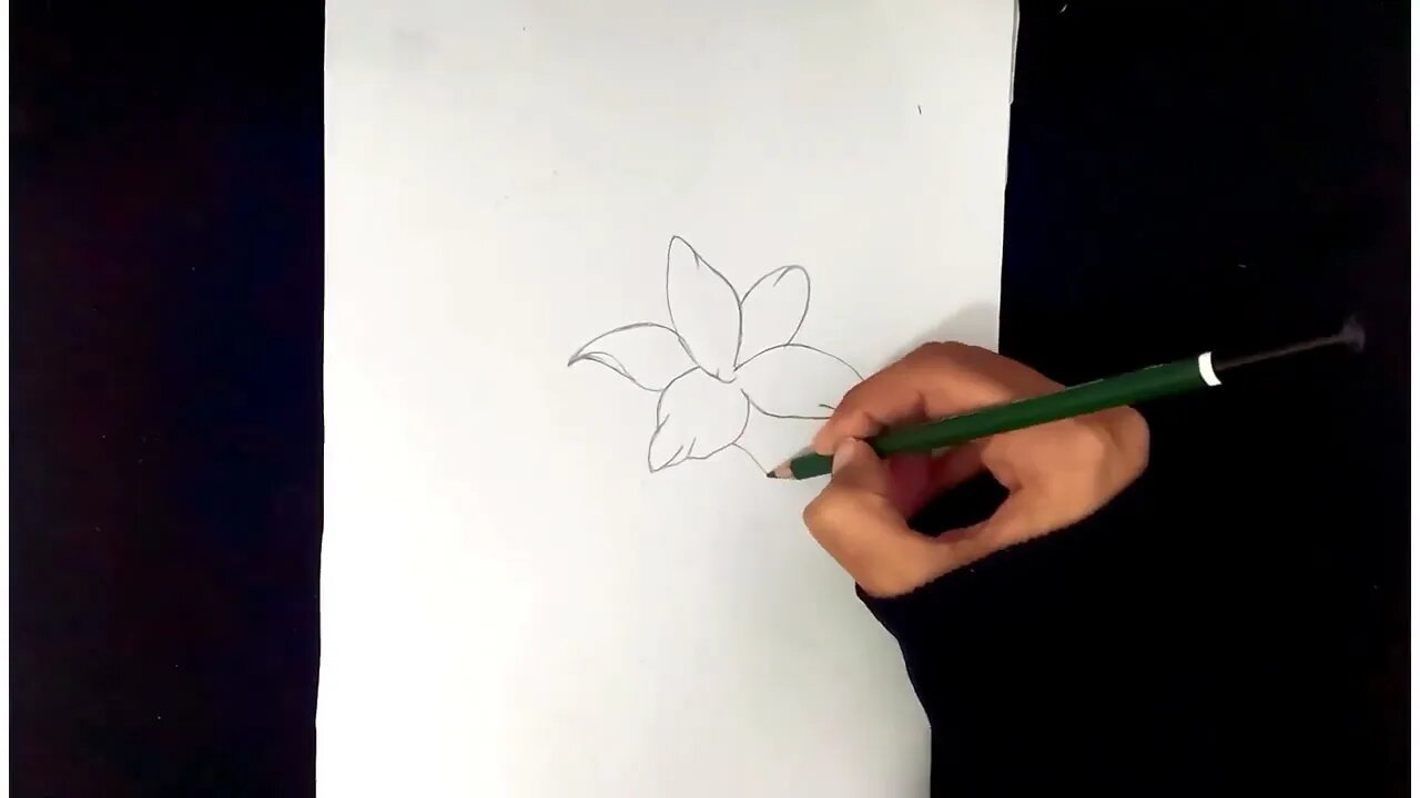 How To Draw Flowers Easy