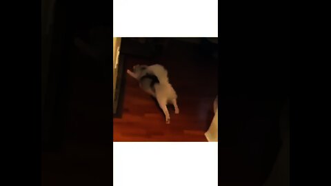 Weekend mood?😂🥺