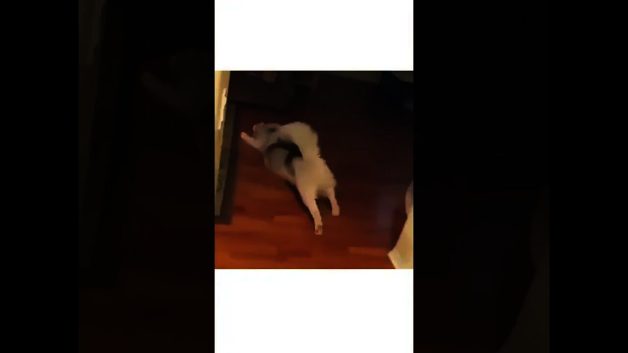 Weekend mood?😂🥺