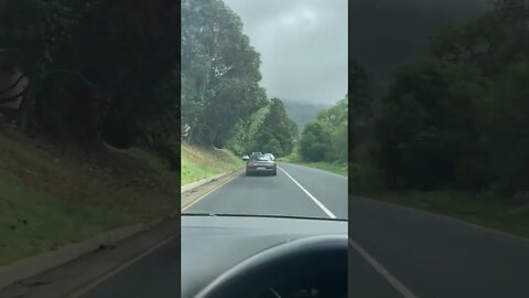Porsche 911 Turbo Random Sightings In Constantia Cape Town #Shorts