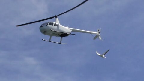 white island helicopter cameo