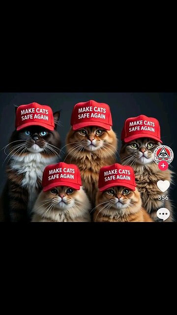 THEY'RE EATING THE DOGS..