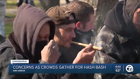 Concerns as crowds gather for Hash Bash in Ann Arbor