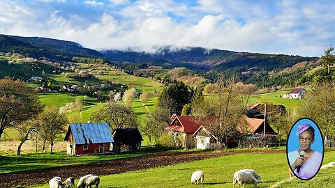 When Did We Get Our First Council On Country Living | Country Living Nugget