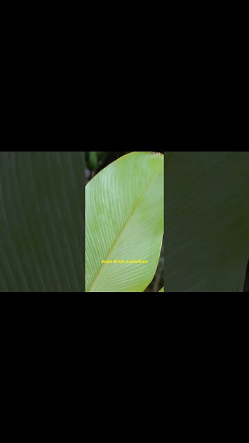 What has happened?! 😔🙏🏼💜✨ #spiritualawakening #spirituality #mindset #lawofattraction #short