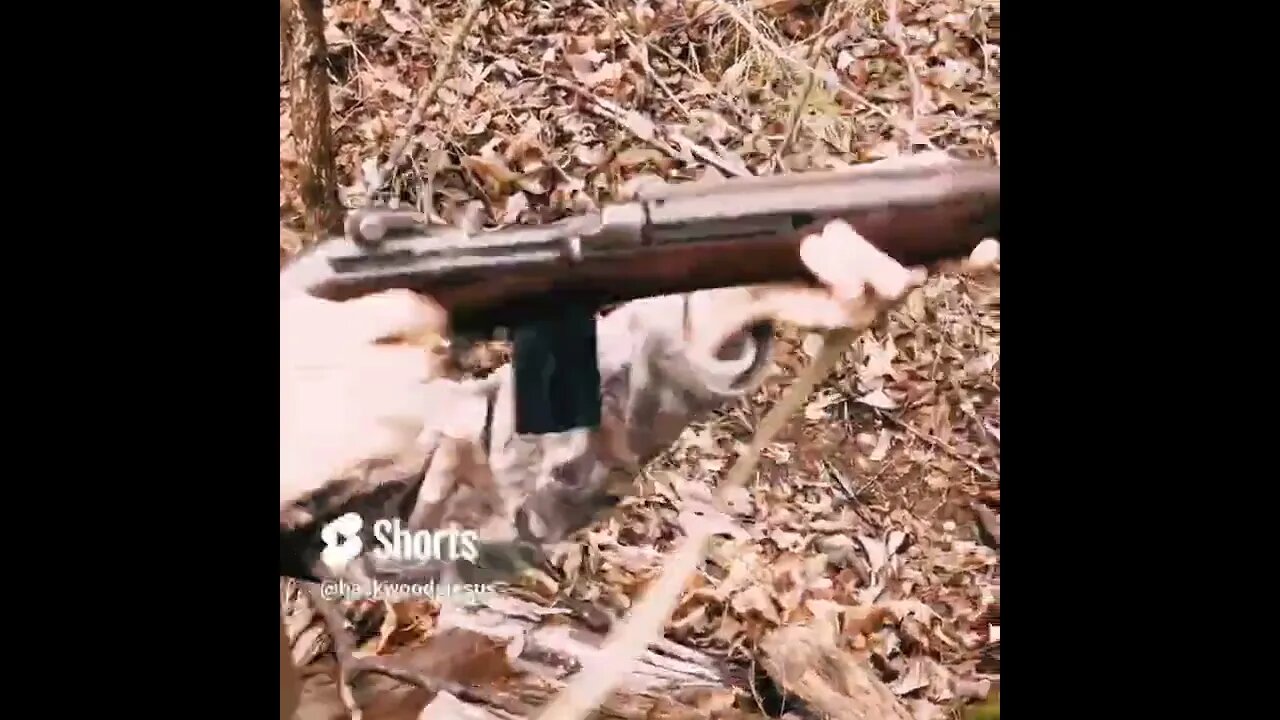 M1 Carbine with Bayonet