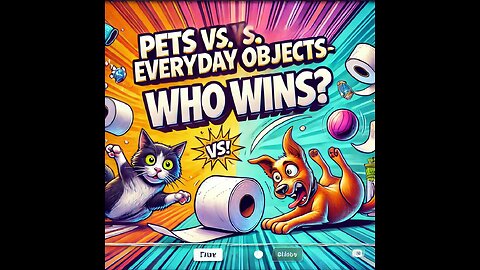 Pets vs. Everyday Objects – Who Wins?