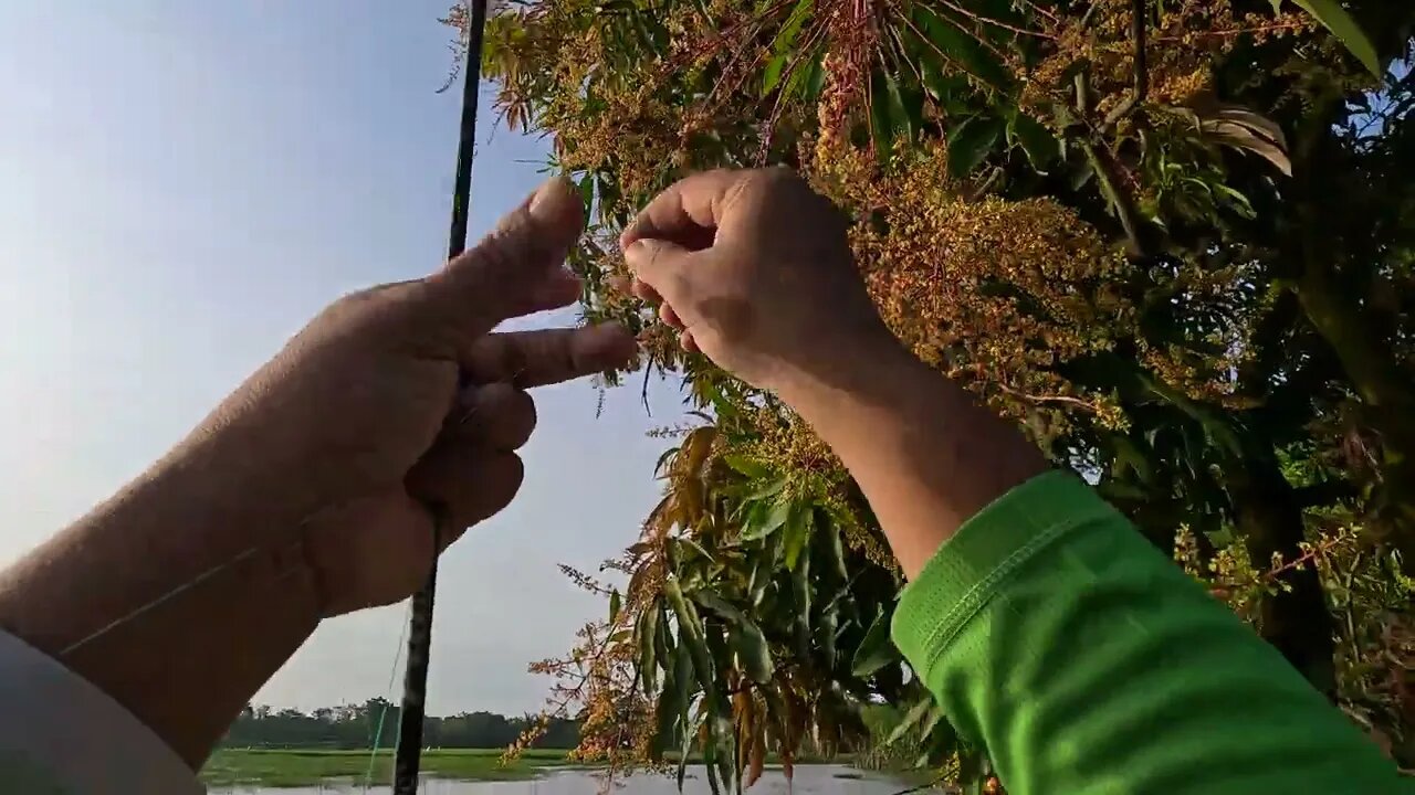 Mancing Casting di Lebakan Sawah