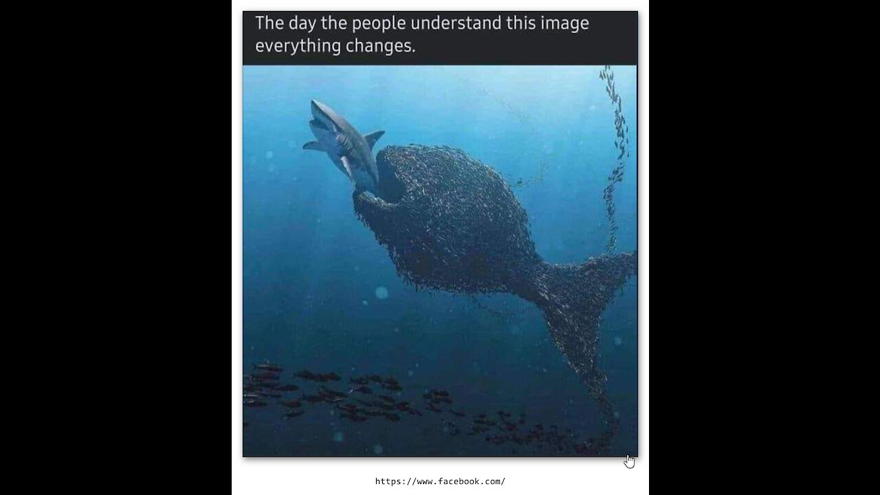 From Software to Now