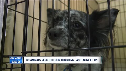 Cleveland APL reduces adoption fees after 4 hoarding cases bring over 170 cats and dogs to shelter