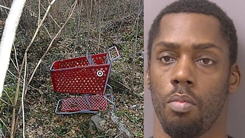 Serial killer in Virginia, 4 bodies found 'Shopping Cart Killer'