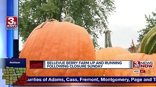 Bellevue Berry Farm and Pumpkin Ranch back up and running following Sunday's closure