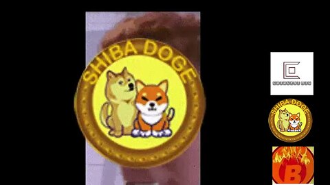 lets go shibadoge