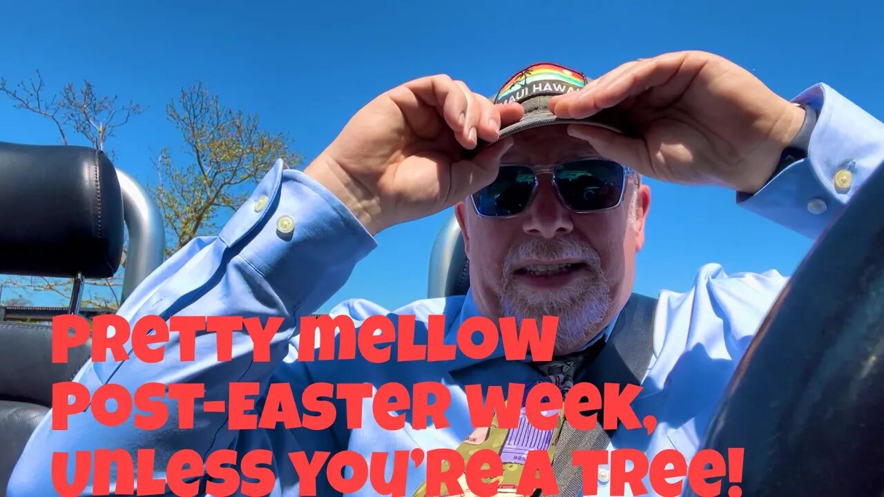 CINCINNATI DAD: The Week After Easter Is Pretty Mellow (unless you’re a tree).