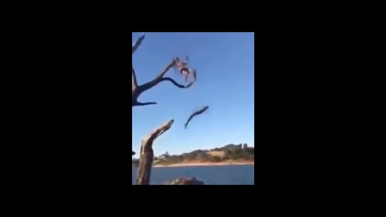 Fail moment | A man jump from the tree