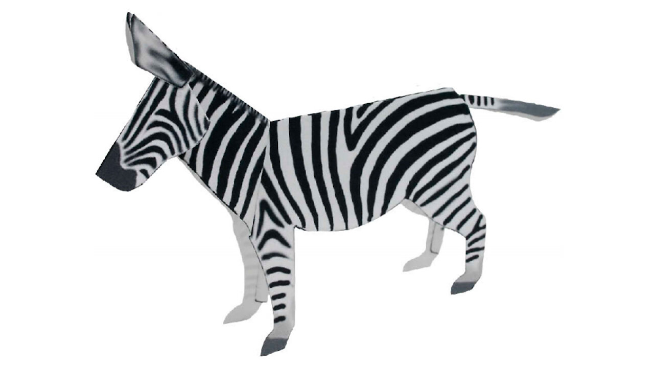 Paper zebra/Cebra de papel/Zebra de papel