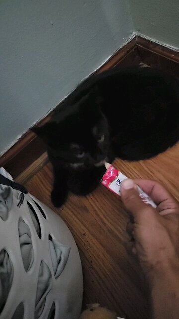 She's In Love With These