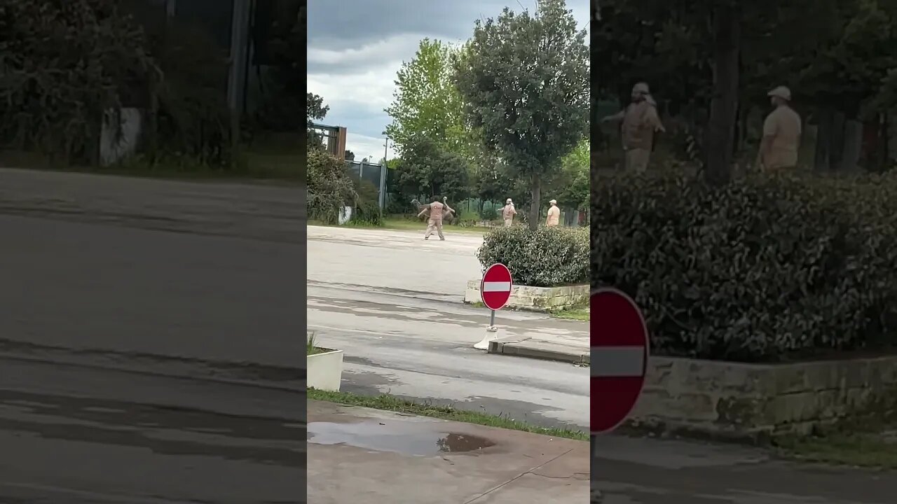 THIS Ostrich Really wanted to escape the ZOO