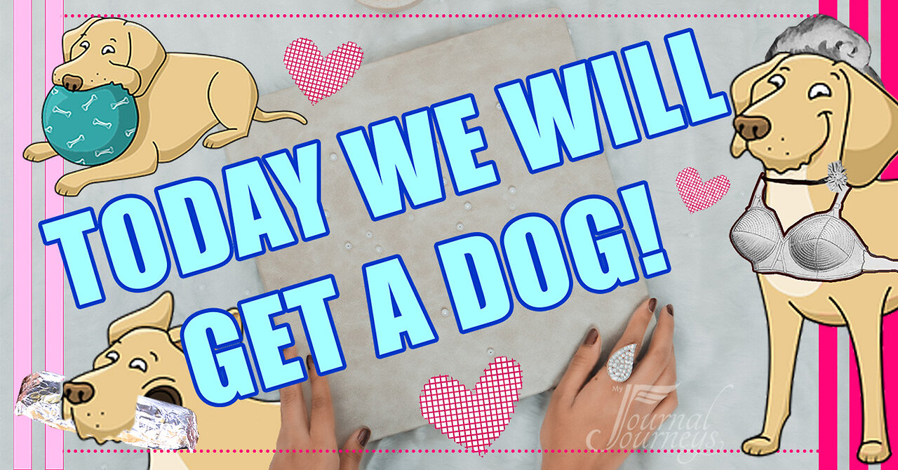 Today...We will get a DOG! And other fine adventures