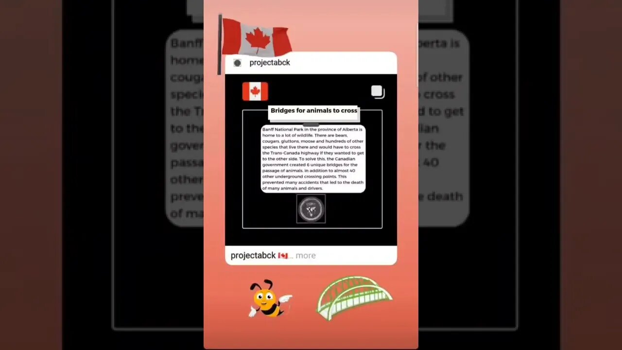 🇨🇦 Bridge for animals