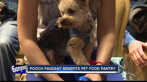 4th Annual Pooch Pageant raises money for the Idaho Humane Society