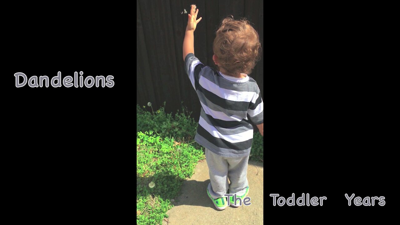 Blowing Dandelions (Simple Toddler Entertainment)