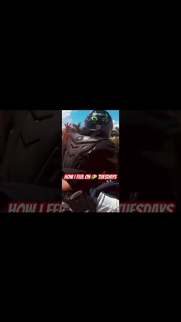 This how I will ride my Harley on 🌮 Tuesday 😂😆😂😆 #harleydavidson #motorcycle #tacos