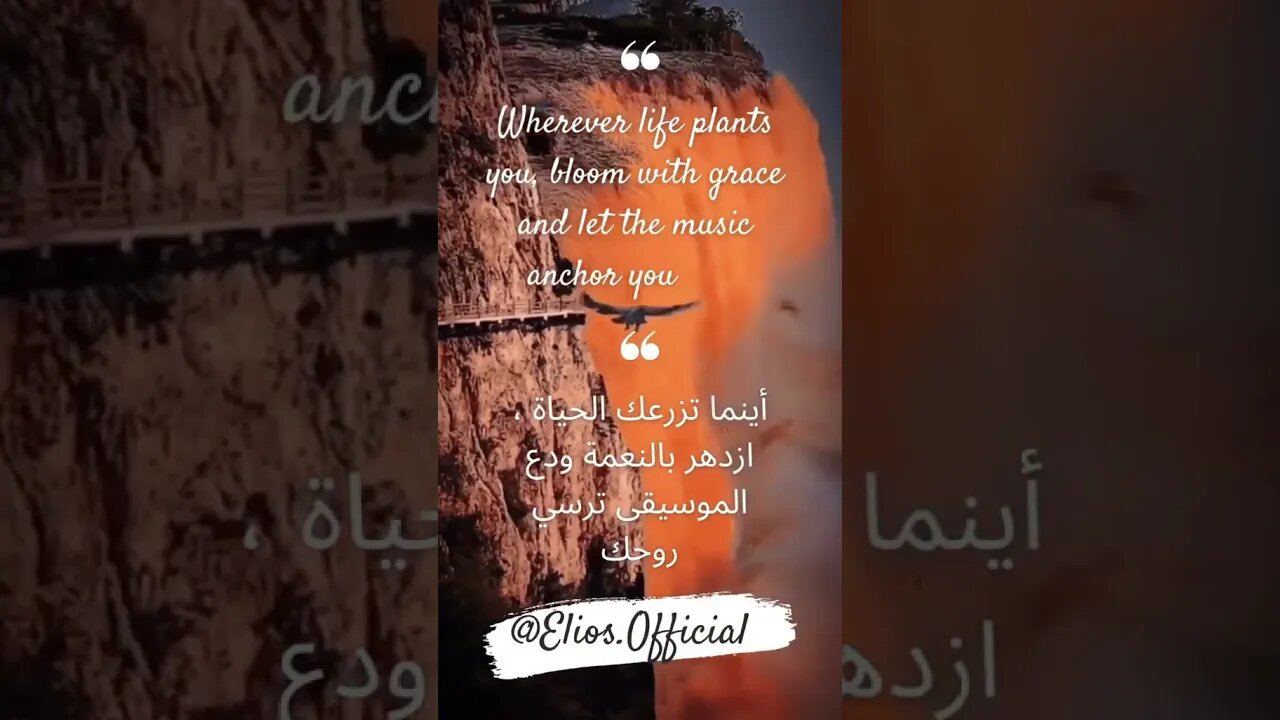 “Wherever life plants you, bloom with grace and let the music anchor your soul” #dailyquotes #elios
